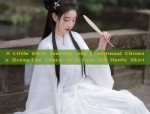 The Authentic Dragon Empress Hanfu:A Guide to Properly Fitting Waist-Length Styles