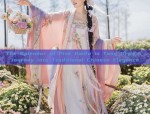 The Splendor of Pink Hanfu in Tang Style:A Journey into Traditional Chinese Elegance