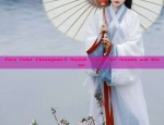 Biyaos Hanfu:The Splendor of Traditional Chinese Clothing