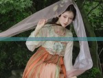The Cheongsam and the Affluent Matron
