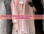 Plump Sisters Journey into Traditional Chinese Fashion:A 200-Pound Journey in Hanfu Costumes