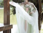 The Splendor of Hanfu Fashion:Exploring the Yan Xin Ji Style