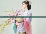 Closing Down Sale:A Final Farewell to Traditional Hanfu Fashion