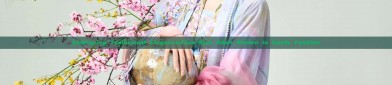Embracing Traditional Elegance:Plus-Size Adult Women in Hanfu Fashion