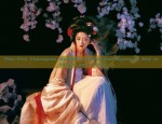 The Elegance of a Happy Mother-in-Laws Wedding Cheongsam with a Noble Shawl