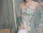 Ancient Elegance in Hanfu Earrings:The Charms of Traditional Chinese Bead Fringes