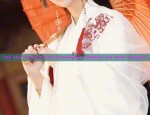 The Register of Hanfu:Unraveling the Enigma of Traditional Chinese Fashion