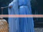 The Splendor of Hanfu under the Lanterns of the Wei,Jin,South and North Dynasties