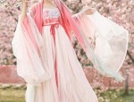 Enchanting Summer Attire for Little Girls Traditional Hanfu Fashion in a Modern Light