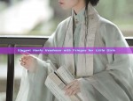 The Elegance of Cheongsam Accessories:The Fringes and Tassel Swags