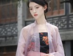 The Revival of Hanfu Culture:Exploring the Elegance of Han Elements in Skirt Design
