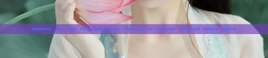 Hanmor Journals Original Hanfu Clothing at Hanmor Original Hanfu Store
