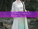 The Splendor of Tang-Style Hanfu Necklaces:A Journey Through Ancient Chinese Jewelry