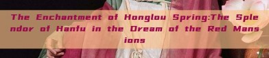 The Enchantment of Honglou Spring:The Splendor of Hanfu in the Dream of the Red Mansions