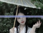 Liu Yifeis Hanfu Fashion:Exploring the Rise of a Cultural Icon