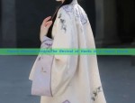 Hanfu Hair Accessories in Song Dynasty Style:A Closer Look into Traditional Beauty