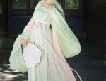 Elegant Gown Inspired by the Charm of Blazing-Edge Balloon Flower