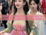 Dream Tang Chronicles:Original Plus-Size Hanfu Fashion
