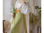 Traditional Tang Clothing and Cheongsam:A Journey Through Ancient Chinese Fashion