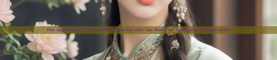 The Splendor of Hanfu Collar:A Journey into the World of Traditional Chinese Dress