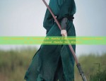 The Evolution of Tang-Style Hanfu Costumes:A Modern Rework of Traditional Hanfu for Women