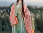 Traditional Hair Ornamentry:Exploring the Complete Set of Ancient Chinese Hanfu with Hair Combs