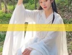 The Flower-Bearing Traditional Chinese Dress:Red Wish in the Realm of Hanfu