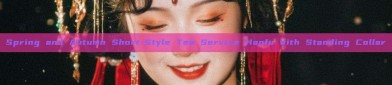 Spring and Autumn Short-Style Tea Service Hanfu with Standing Collar