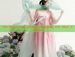 Dragon and Phoenix:The Unique Story of a Twin Set in Traditional Hanfu Fashion