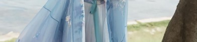 Traditional Chinese Style:Ma-Face Skirt,Girls Winter Jacket for Big Kids