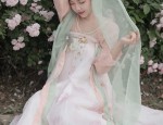 Wang Lus Hanfu Fashion:Exploring the Allure of Traditional Chinese Clothing