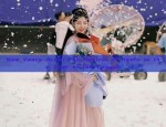New Years Armor:The Revival of Hanfu in the Year of the Dragon