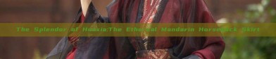 The Splendor of Huaxia:The Ethereal Mandarin Horseback Skirt