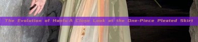 The Evolution of Hanfu:A Close Look at the One-Piece Pleated Skirt