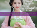 The Pregnant Journey of a Hanfu Doll:A Cultural Exploration
