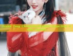The All-Opening Placket and Buttoned Cheongsam:A Traditional Chinese Beauty in Modern Fashion