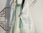A Little Girls Summer Hanfu Outfit A Blend of Tradition and Comfort