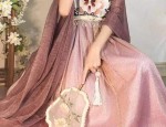 Adult Womens Hanfu Short-sleeved Blouses:A Glance into Traditional Elegance