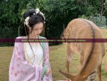 Short-Style Cheongsam:Modern Chinese Fashion Evolution