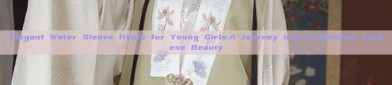 Elegant Water Sleeve Hanfu for Young Girls:A Journey into Traditional Chinese Beauty
