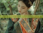 The Origin of Tangqin Original Hanfu:Embracing Traditional Elegance in Modern Times