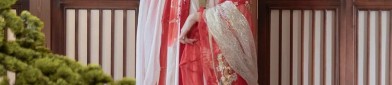 Traditional Summer Girls Ancient Style Horseface Skirt in Chinese Costume