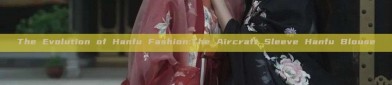 The Evolution of Hanfu Fashion:The Aircraft Sleeve Hanfu Blouse