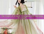 Ancient Beauty in Modern Times:The Revival of Traditional Chinese Girls Hanfu Costumes