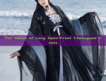 Childrens Chinese Traditional Hanfu Costumes for the Childrens Day Performance