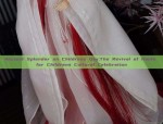 The Evolution of Dance Cheongsam and Training Uniform:A Closer Look into the World of Dancewear