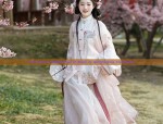 The Cultural Significance of Qipao in Matchmaking Ceremonies