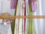 Traditional Chinese Elegance:The Revival of Hanfu for Modern Women