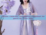 Reconstructing the Ming Dynasty Hanfu:A Journey into Traditional Chinese Clothing