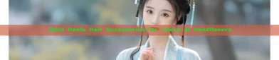 Adult Hanfu Hair Accessories:The Charm of Headflowers